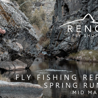 FLY FISHING REPORT | TRUCKEE RIVER | MID MAY 2024 | ANNOUNCING SUMMER CLASS SCHEDULE