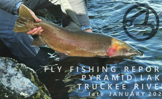 Fly Fishing Report | Pyramid Lake and Truckee River | late January 2024 | SIMMS Freestone Bootfoot
