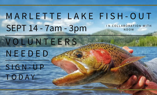 Marlette Lake Fish Out with NDOW | Sept 14, 2024 | Volunteers needed with a few spots still available