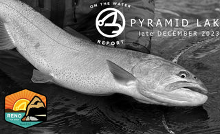 On-the-Water Report with Mike Anderson | Pyramid Lake | late December 2023