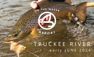 On-the-Water Report | Truckee River | early June 2024