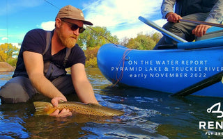 On-the-Water Report | Pyramid Lake and the Truckee River | early November 2022 | Mopcorn Beetle