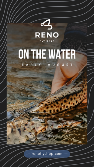 On-the-Water Report | Truckee River | early August 2025