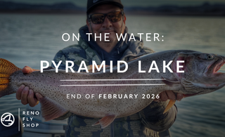 On-the-Water Report | Pyramid Lake and Truckee River | IF4 One week away - Get you tickets