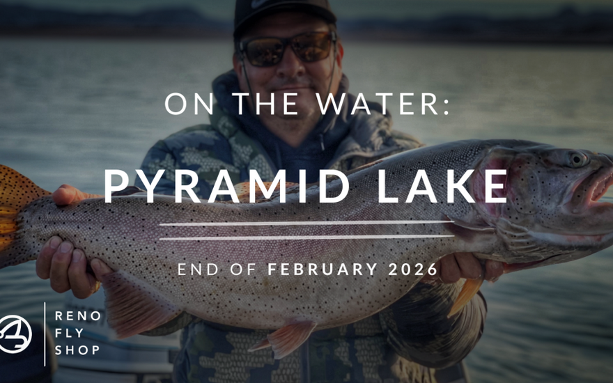 On-the-Water Report | Pyramid Lake and Truckee River | IF4 One week away - Get you tickets