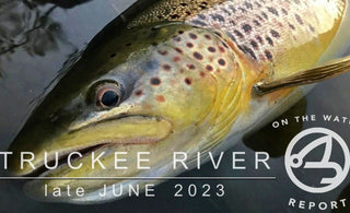 On-the-Water Report | Truckee River | late June 2023 | Join us in Christmas Island in February 2024