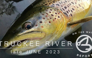 On-the-Water Report | Truckee River | late June 2023 | Join us in Christmas Island in February 2024