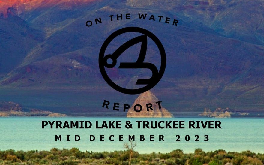 On-the-Water Report | Pyramid Lake and Truckee River | mid December 2023