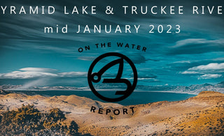 On-the-Water Report | Pyramid Lake and Truckee River | mid January 2023 | Micro Holo Midge In-Stock NOW