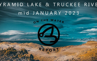 On-the-Water Report | Pyramid Lake and Truckee River | mid January 2023 | Micro Holo Midge In-Stock NOW