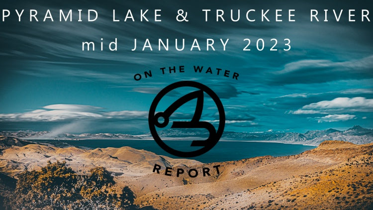 On-the-Water Report | Pyramid Lake and Truckee River | mid January 2023 | Micro Holo Midge In-Stock NOW