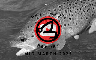 On-the-Water Report | Truckee River and Pyramid Lake | mid March 2025 | East Fork Walker River Guide Calendar OPEN