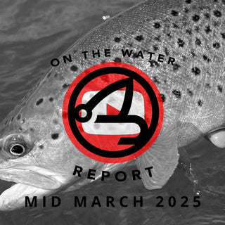 On-the-Water Report | Truckee River and Pyramid Lake | mid March 2025 | East Fork Walker River Guide Calendar OPEN