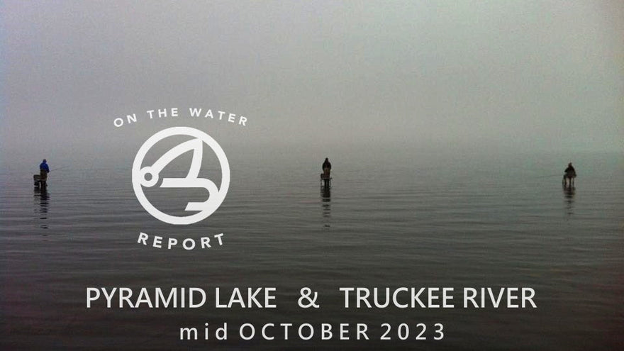On-the-Water Report | Pyramid Lake and Truckee River | mid October 2023 | Happy Hour 10/19 at 6 - Golden Dorado in Argentina