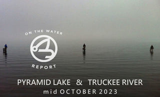 On-the-Water Report | Pyramid Lake and Truckee River | mid October 2023 | Happy Hour 10/19 at 6 - Golden Dorado in Argentina