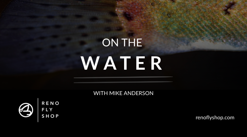 On-the-Water w/ Mike Anderson | Truckee River | mid August 2025