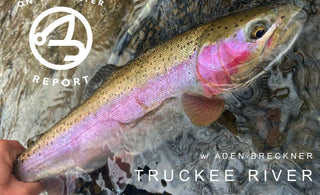 On-the-Water Report w/ Aden Breckner | Truckee River | late March 2024