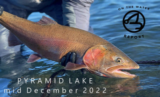 On-the-Water Report | Pyramid Lake | mid December 2022