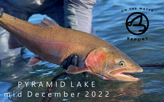 On-the-Water Report | Pyramid Lake | mid December 2022