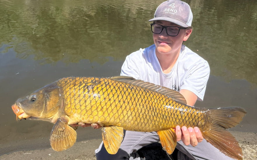 On-the-Water Report | Truckee River | middle of June 2026