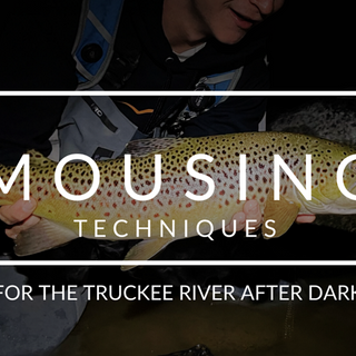 Mousing for Monsters: Night Fly Fishing on the Truckee River