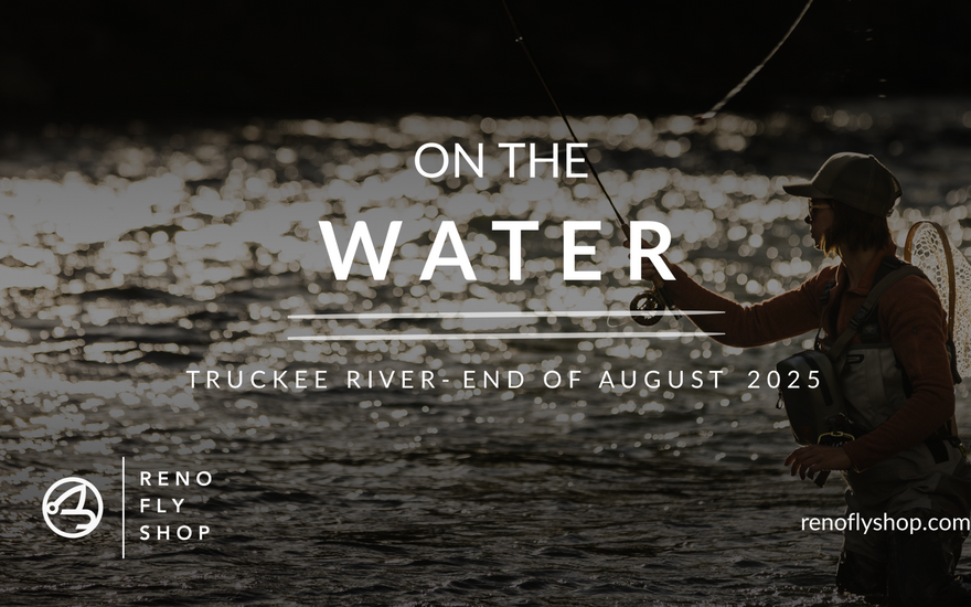 On-the-Water Report | Truckee River | end of August 2025