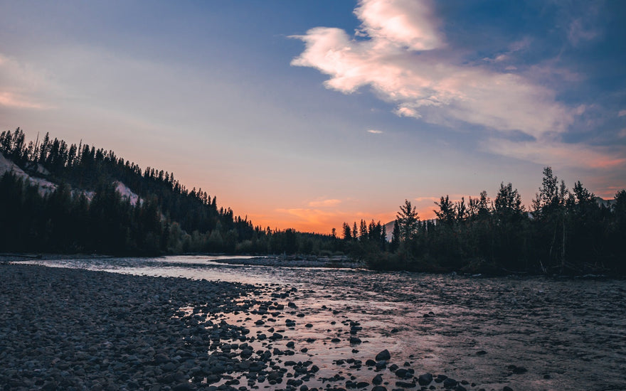On-the-Water Report | Truckee River & Walker River | early October 2025