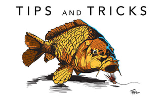 Tips and Tricks for Carp on the Fly