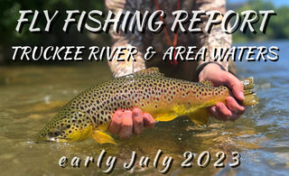 Fly Fishing Report | Summer is here on the Truckee River | Trout and Carp