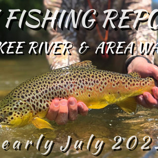 Fly Fishing Report | Summer is here on the Truckee River | Trout and Carp