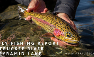 FLY FISHING REPORT | PYRAMID LAKE & TRUCKEE RIVER | EARLY APRIL 2024