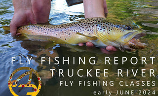 FLY FISHING REPORT | TRUCKEE RIVER | Early June 2024 | FF101 and FF102 Classes Added to Schedule