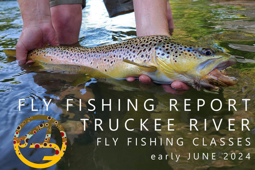 FLY FISHING REPORT | TRUCKEE RIVER | Early June 2024 | FF101 and FF102 Classes Added to Schedule