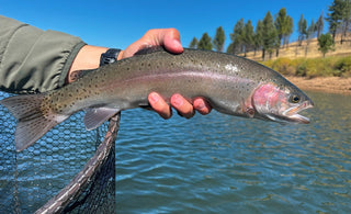 Fly Fishing Report | early October (Pyramid Lake Opener) | Fly Tying 101 and 201 Classes