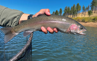 Fly Fishing Report | early October (Pyramid Lake Opener) | Fly Tying 101 and 201 Classes