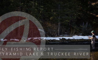 FLY FISHING REPORT | PYRAMID LAKE & TRUCKEE RIVER | EARLY FEBRUARY 2024