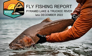 Fly Fishing Report | Pyramid Lake & Truckee River | late December 2022