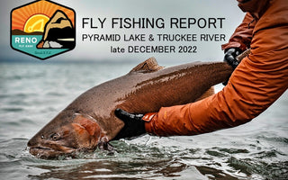 Fly Fishing Report | Pyramid Lake & Truckee River | late December 2022