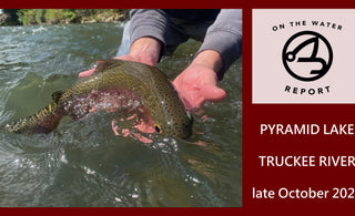 On-the-Water Report | Pyramid Lake and Truckee River | late October 2023