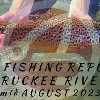 FLY FISHING REPORT | TRUCKEE RIVER | mid August 2023