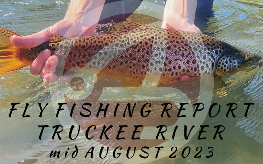 FLY FISHING REPORT | TRUCKEE RIVER | mid August 2023