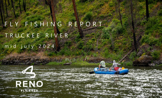 Fly Fishing Report | Truckee River | mid July 2024