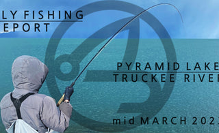Fly fishing report | Pyramid lake and truckee river | mid march 2023 | SA INTEGRATED SWITCH FLY LINE AVAILABLE NOW