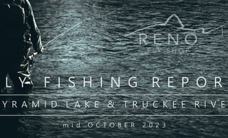 Fly Fishing Report | Pyramid Lake & Truckee River | mid October 2023