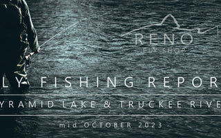 Fly Fishing Report | Pyramid Lake & Truckee River | mid October 2023
