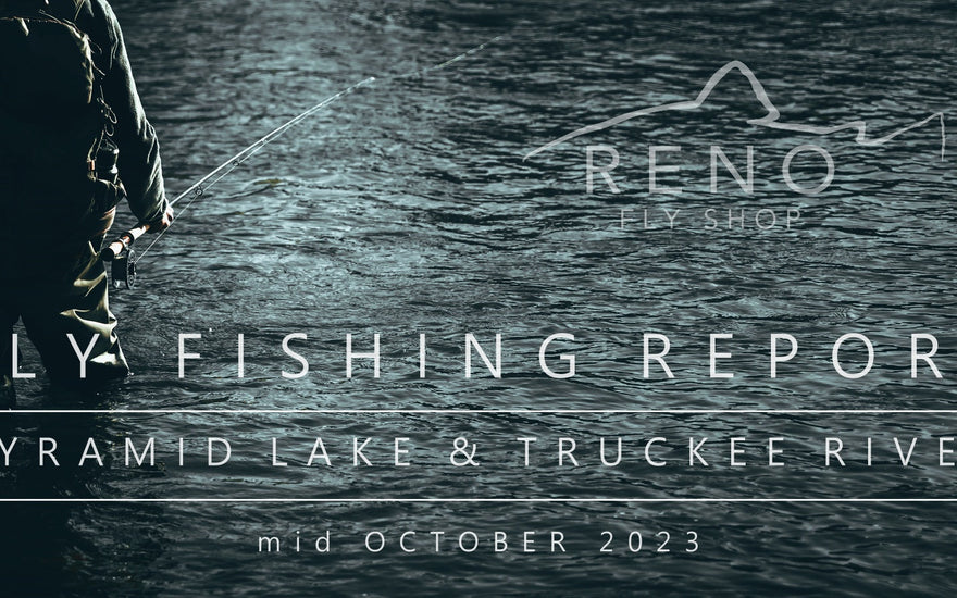 Fly Fishing Report | Pyramid Lake & Truckee River | mid October 2023