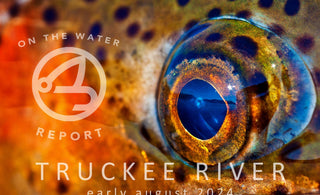 On-the-Water Report - Truckee River - early August 2024