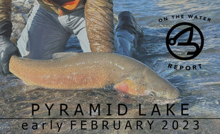 ON-THE-WATER REPORT | PYRAMID LAKE | early february 2023