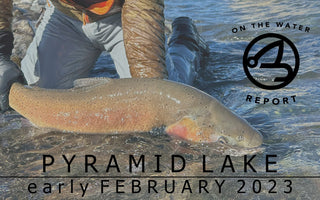 ON-THE-WATER REPORT | PYRAMID LAKE | early february 2023
