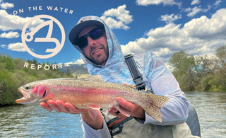 On-the-Water Report | early May 2025